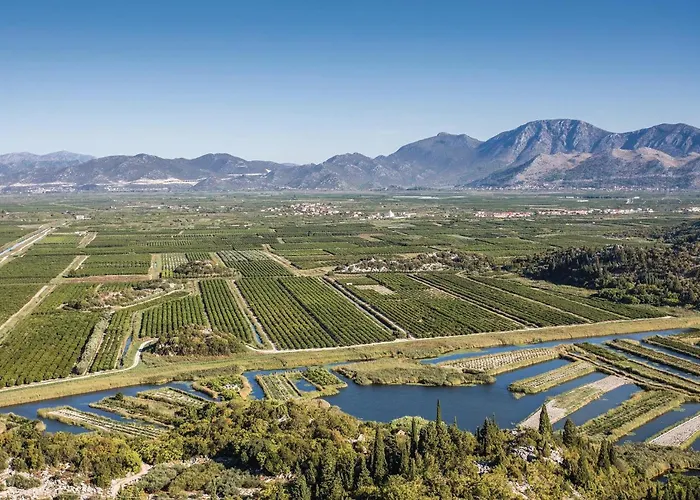 Amazing In With Wifi